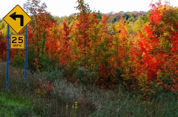 car Has Poor Suspension