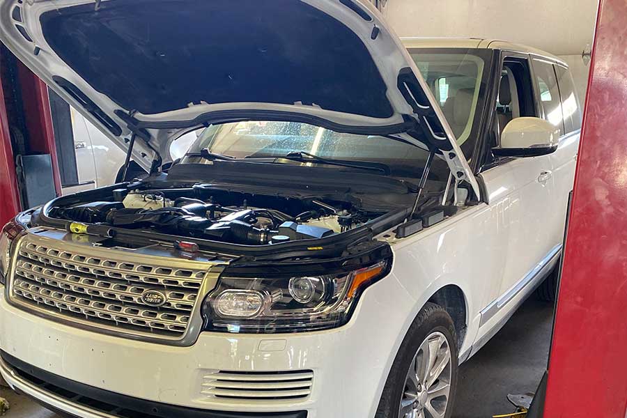 power transmission lexington ky