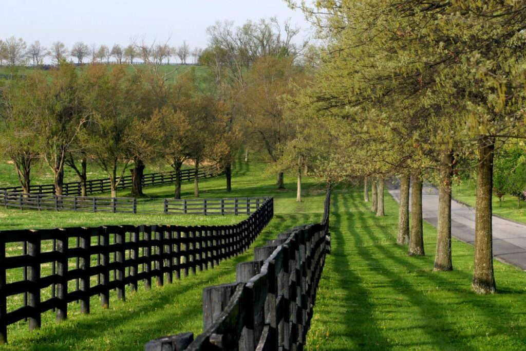 A peaceful, scenic image featuring green hills, many trees, and several fence lines in Kentucky